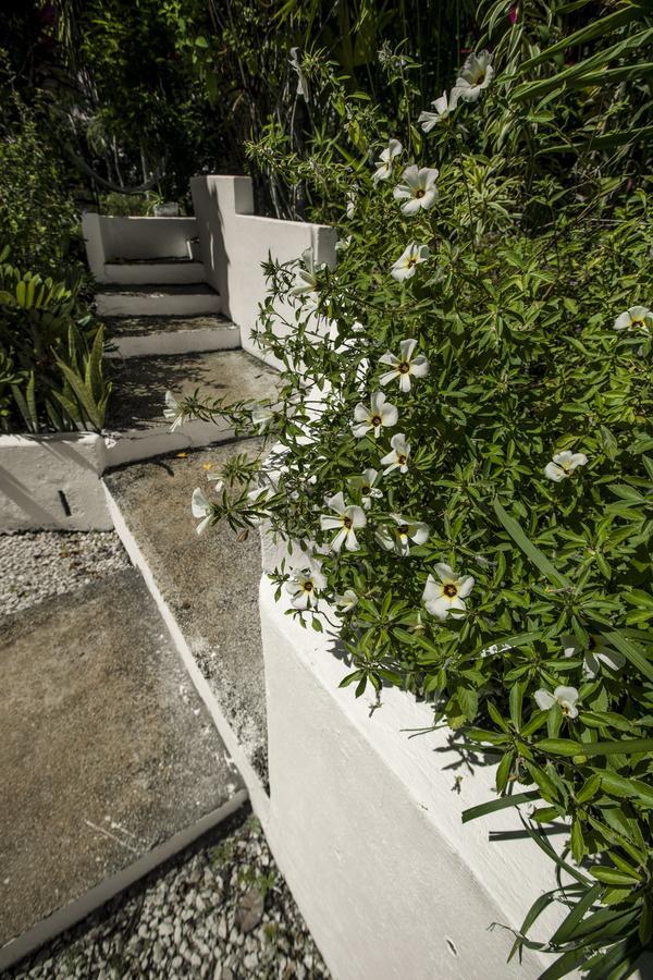 Villa Blanconejo De Montezuma Exterior foto